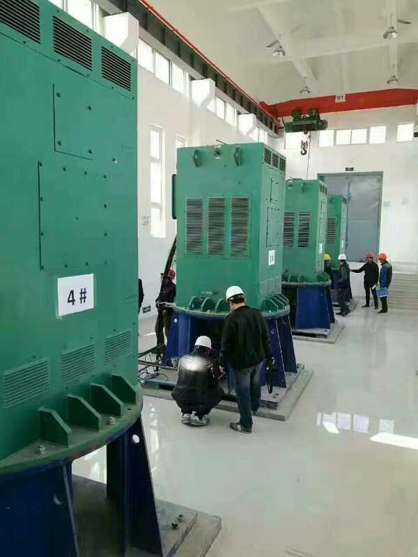 YR8001-8某污水处理厂使用我厂的立式高压电机安装现场